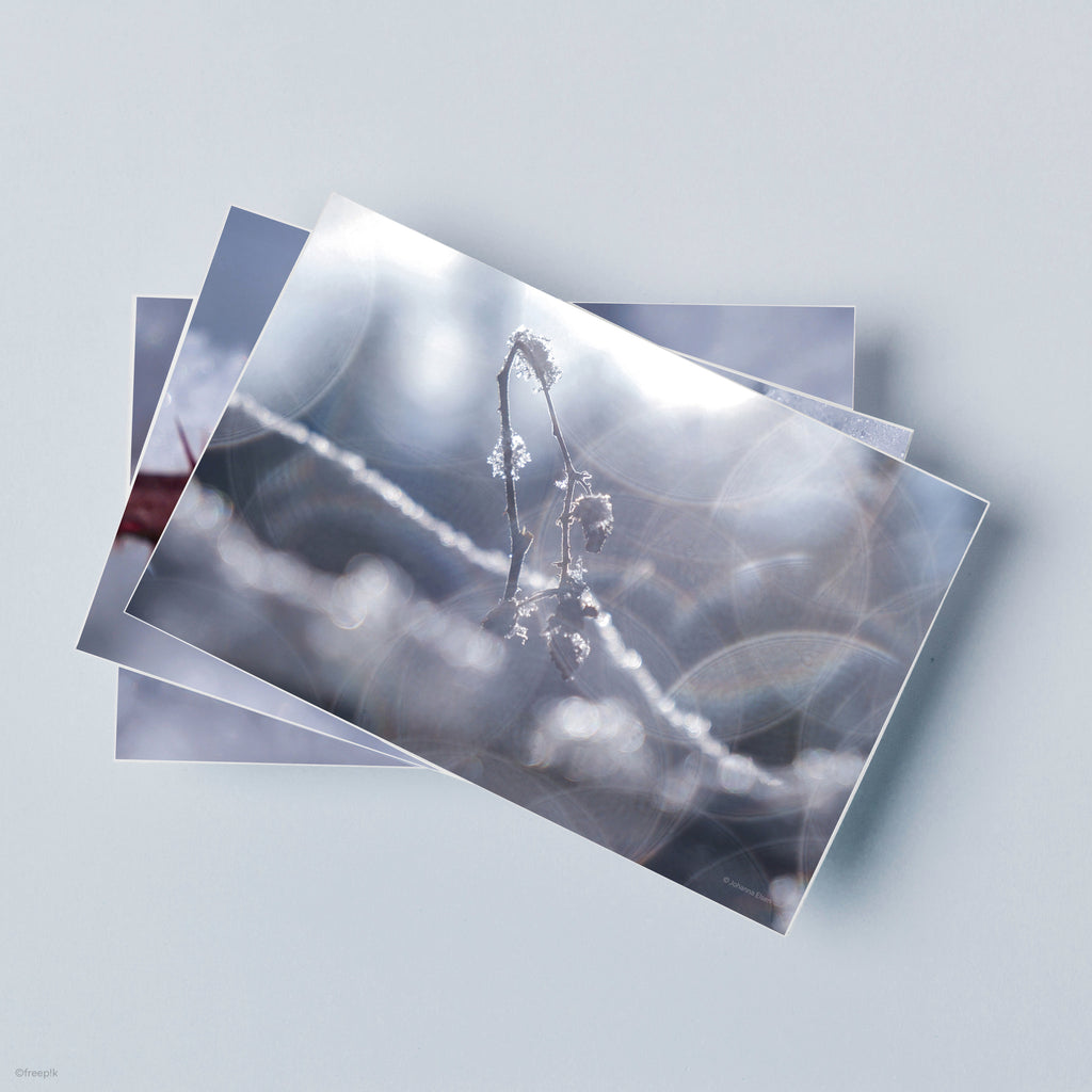Winter • Fotokarten Set