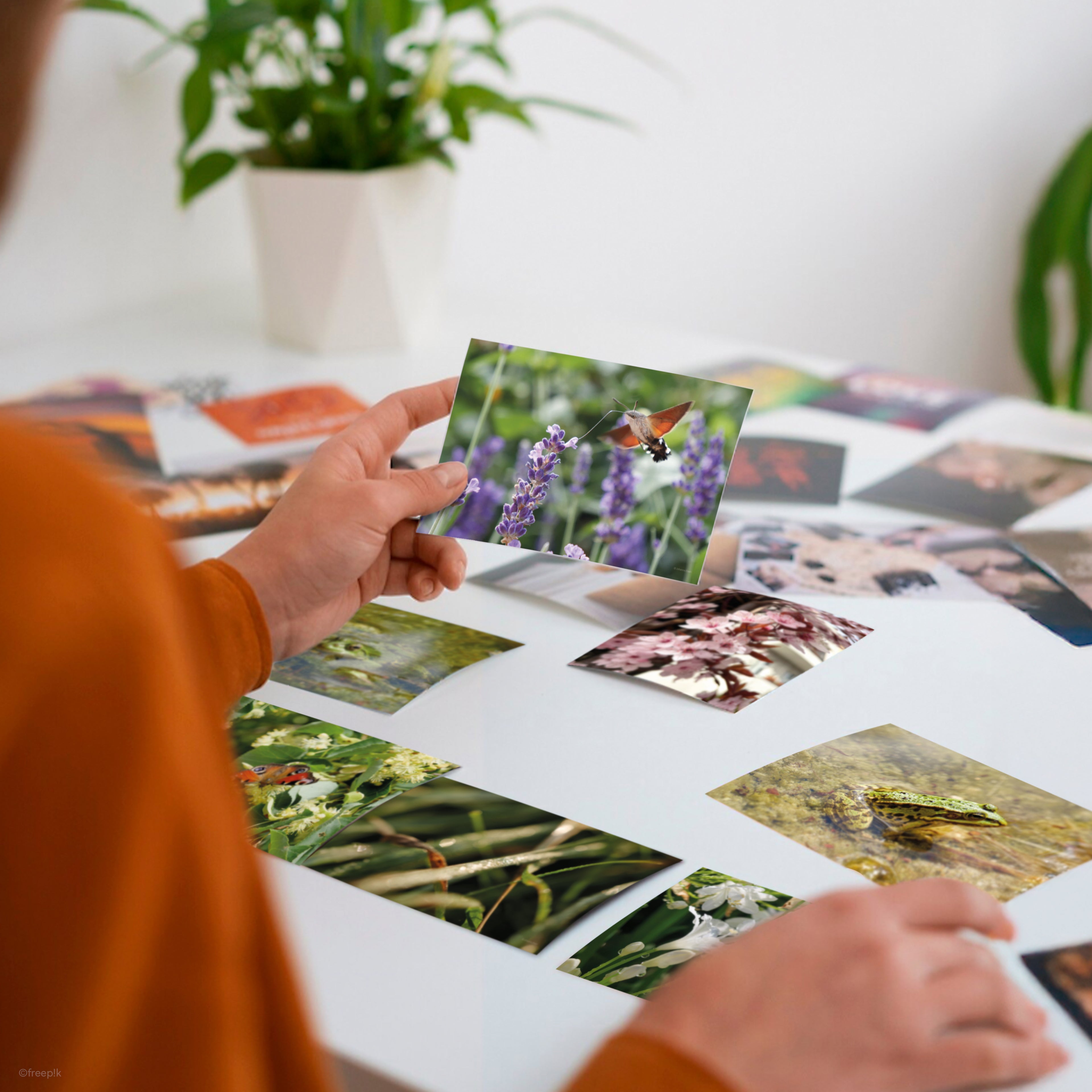 Frühling • Fotokarten Set