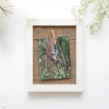 Rainforest • Photo Card Set