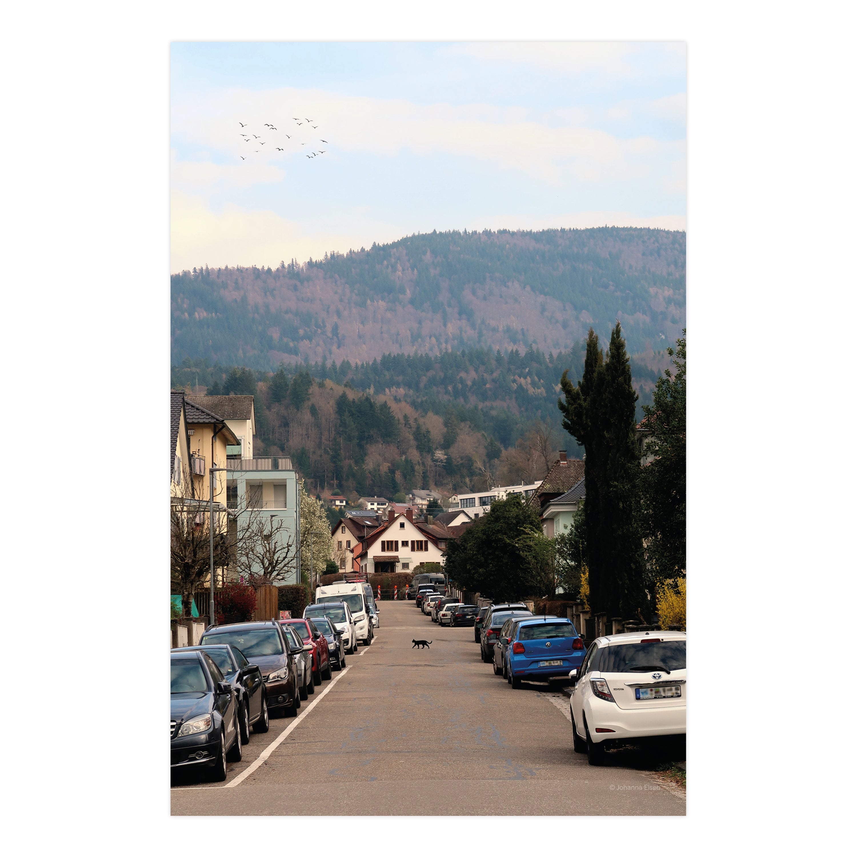 Dorfleben • Fotokarten Set