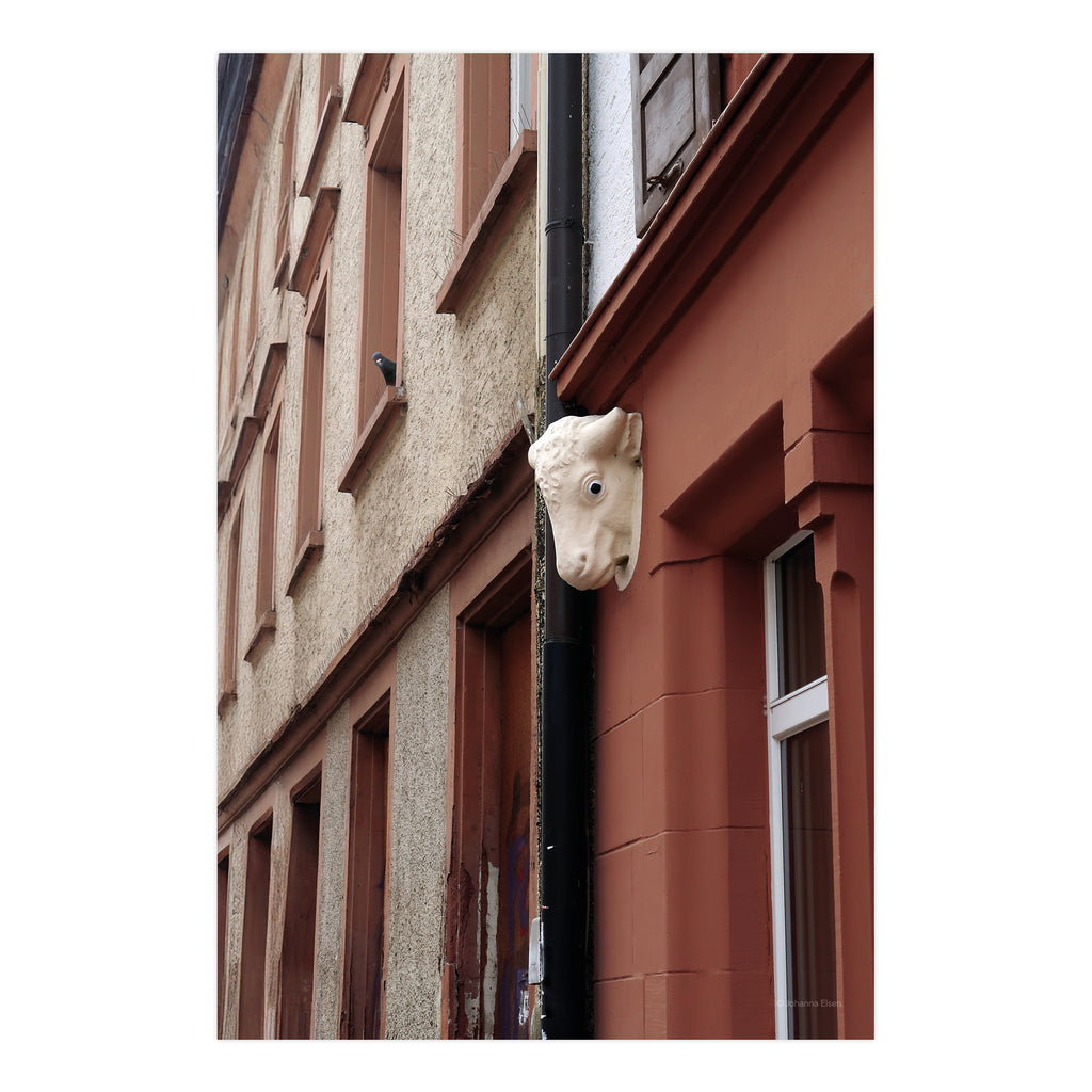Dorfleben • Fotokarten Set