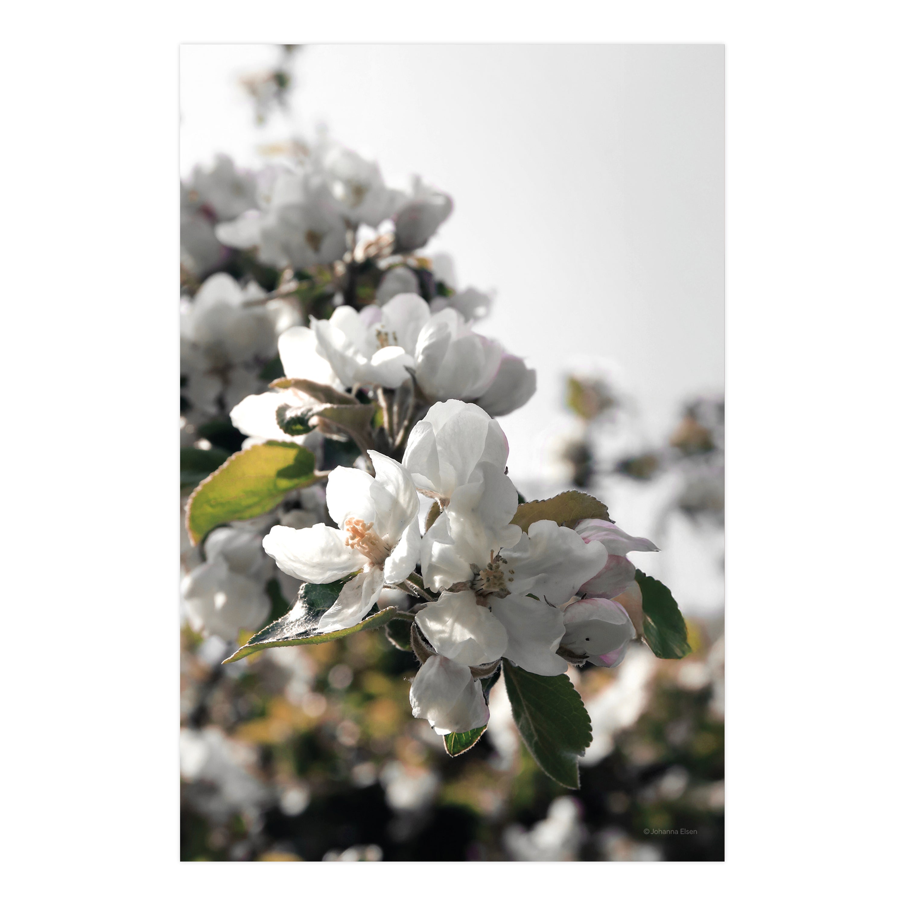 Dorfleben • Fotokarten Set