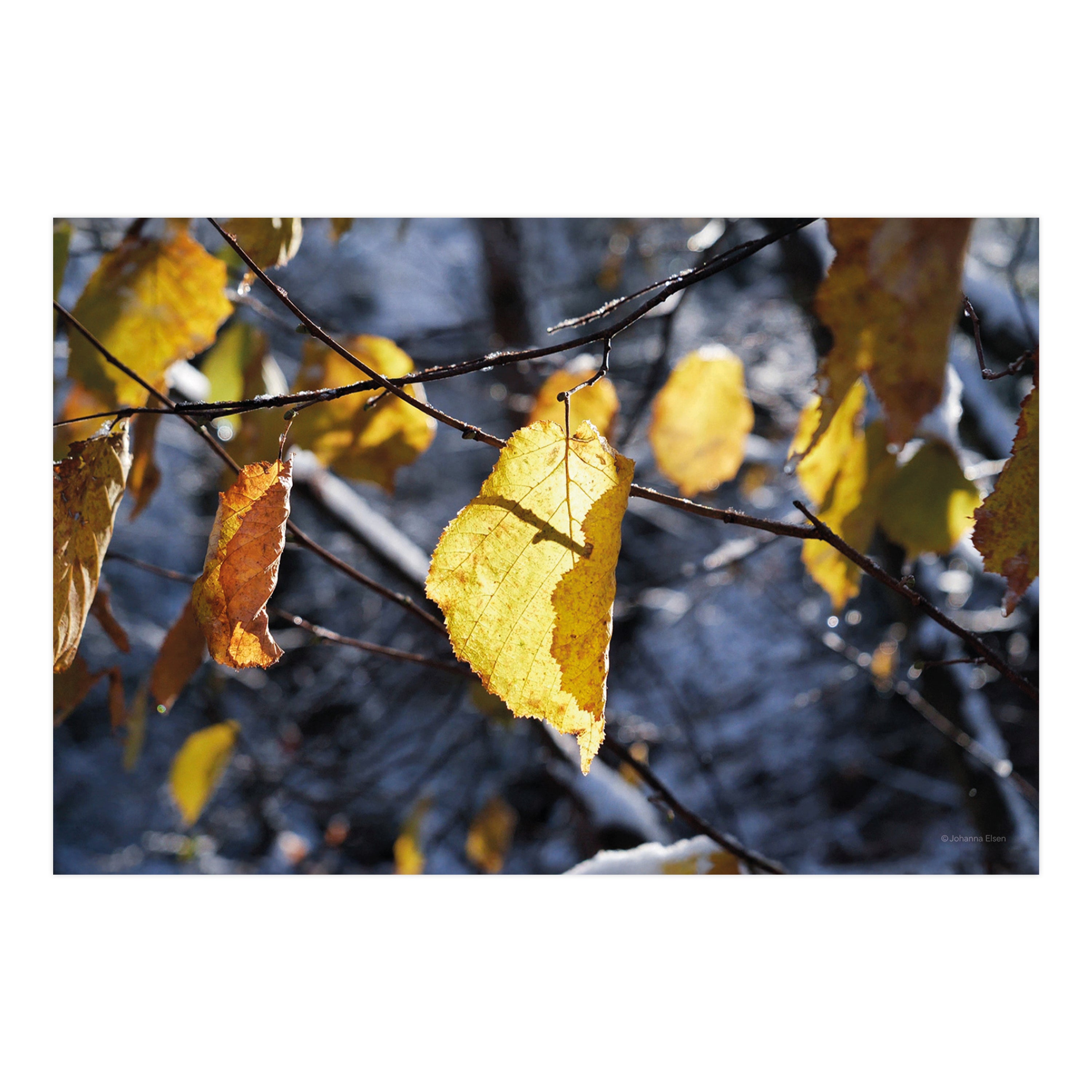 Winter • Fotokarten Set