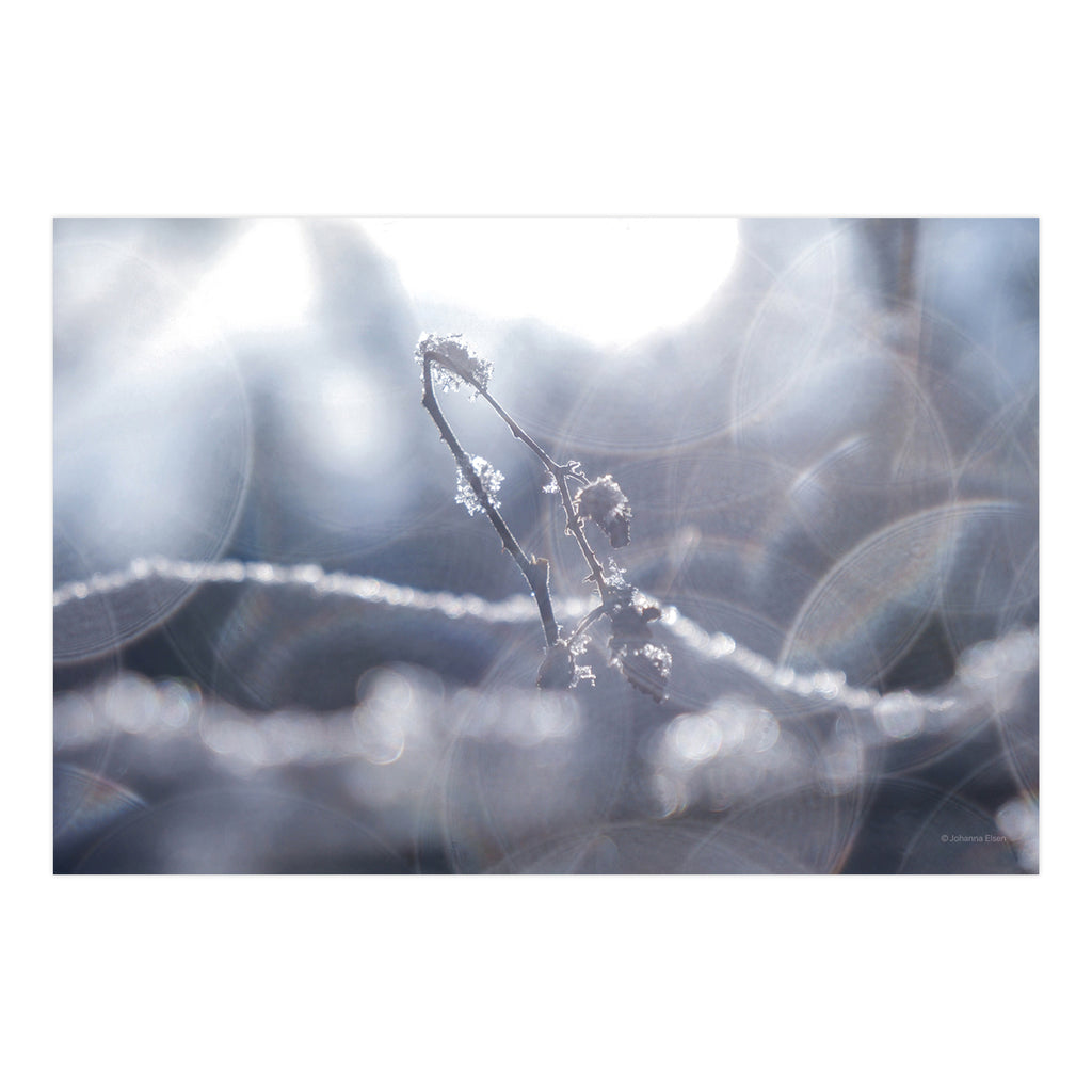 Winter • Fotokarten Set