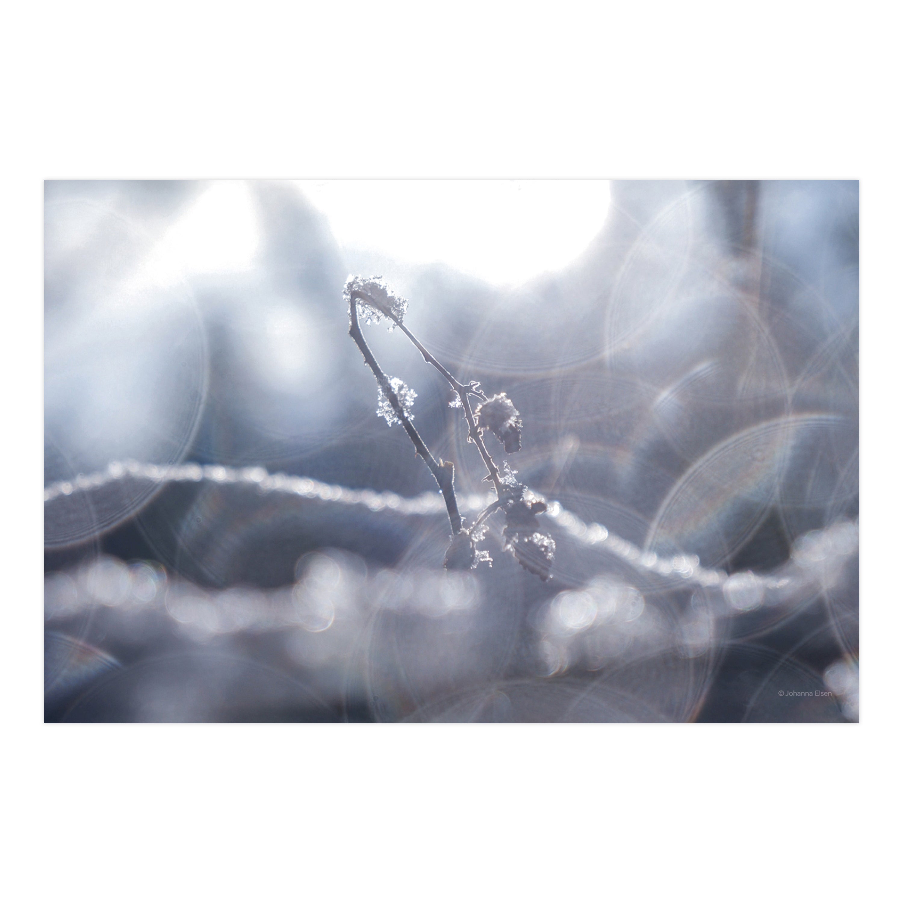 Winter • Fotokarten Set