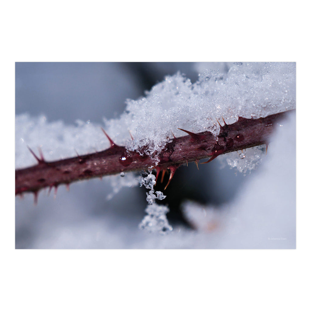 Winter • Fotokarten Set